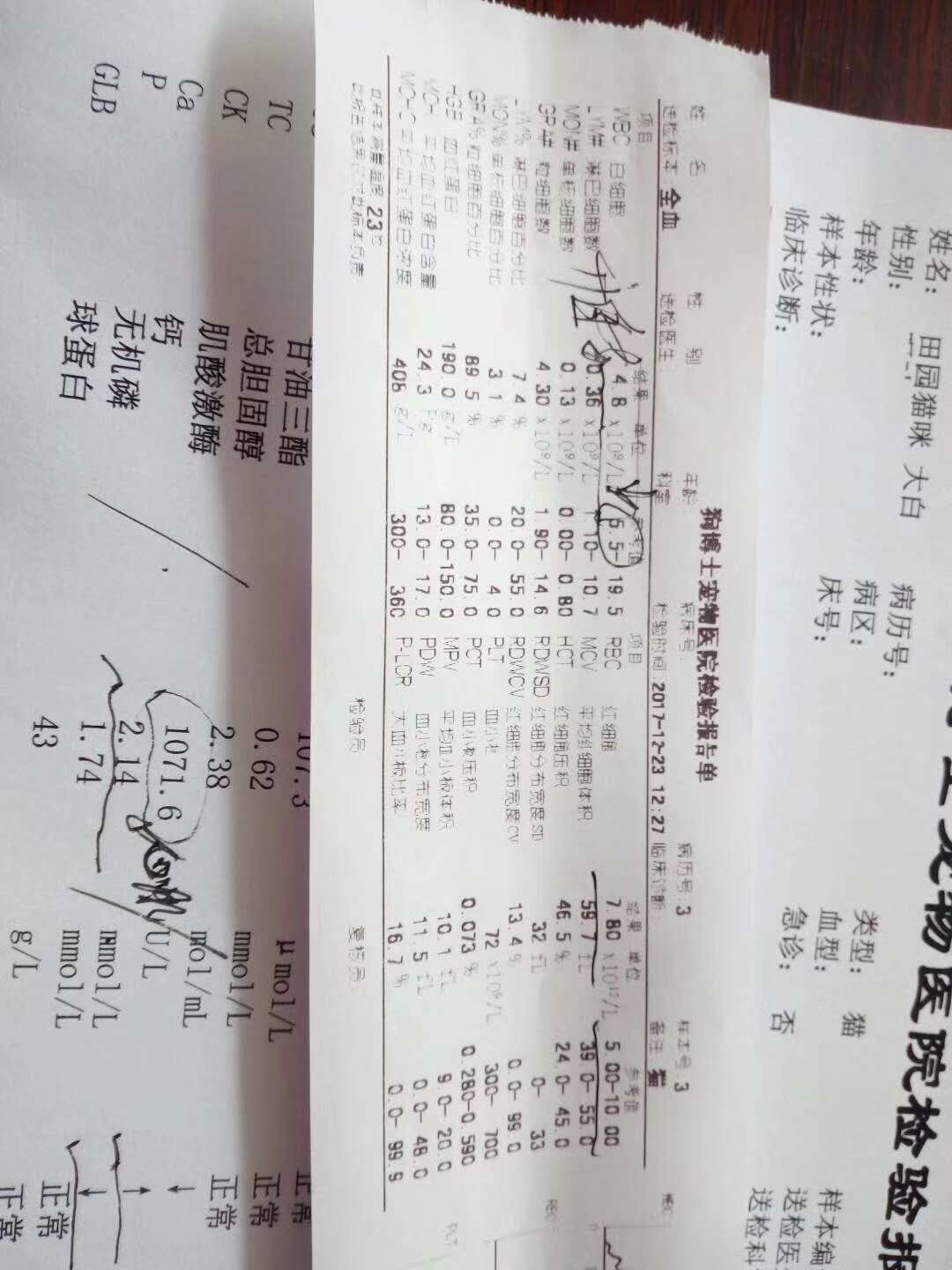 微信圖片_20180103143438.jpg