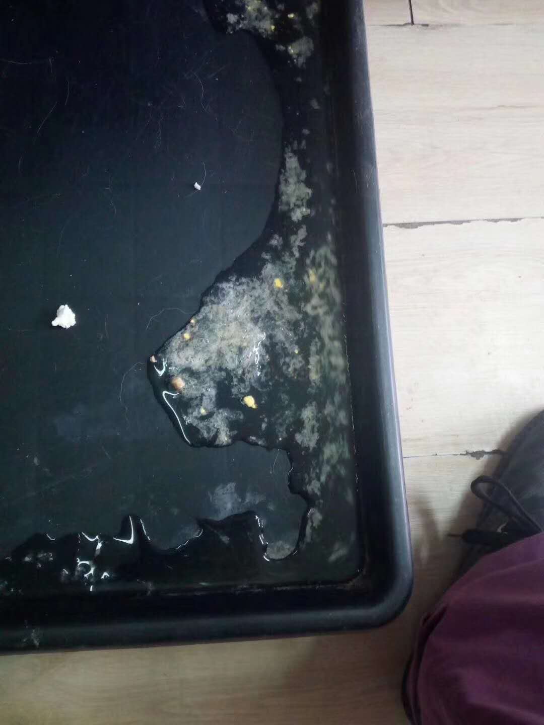 微信圖片_20180104154818.jpg