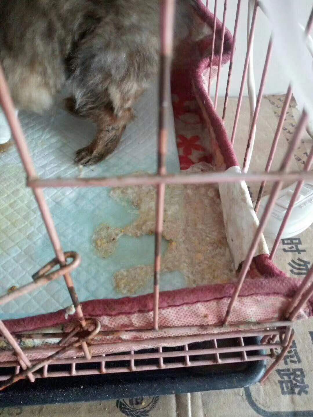 微信圖片_20180105155523.jpg